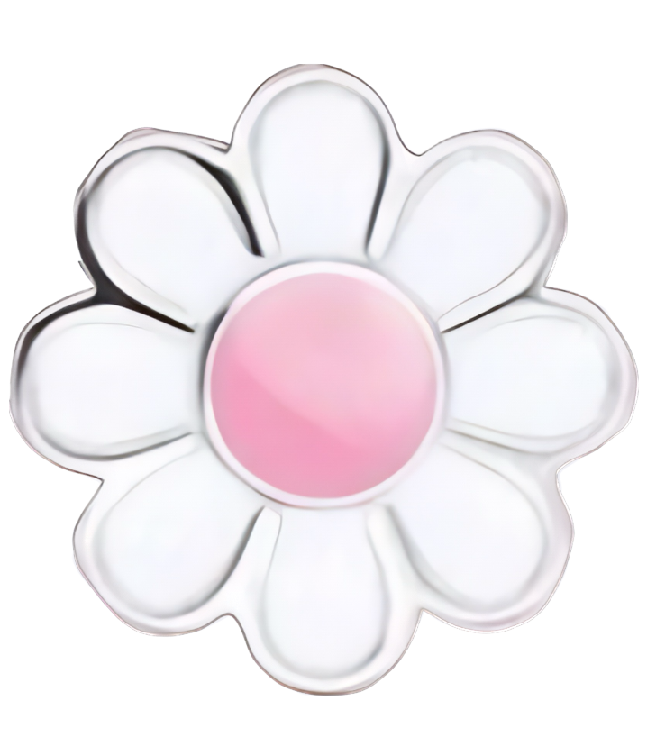 Mini flower with pink center frame charm