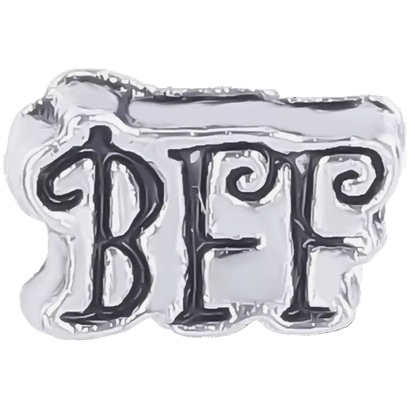 BFF Frame Charm