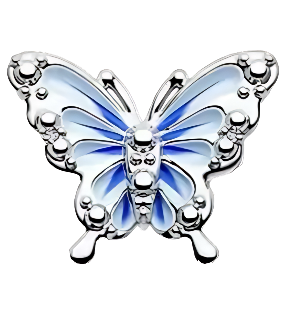 Blue butterfly frame charm