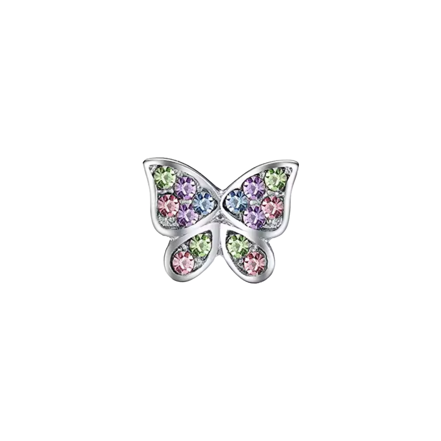 Colorful butterfly frame Charm