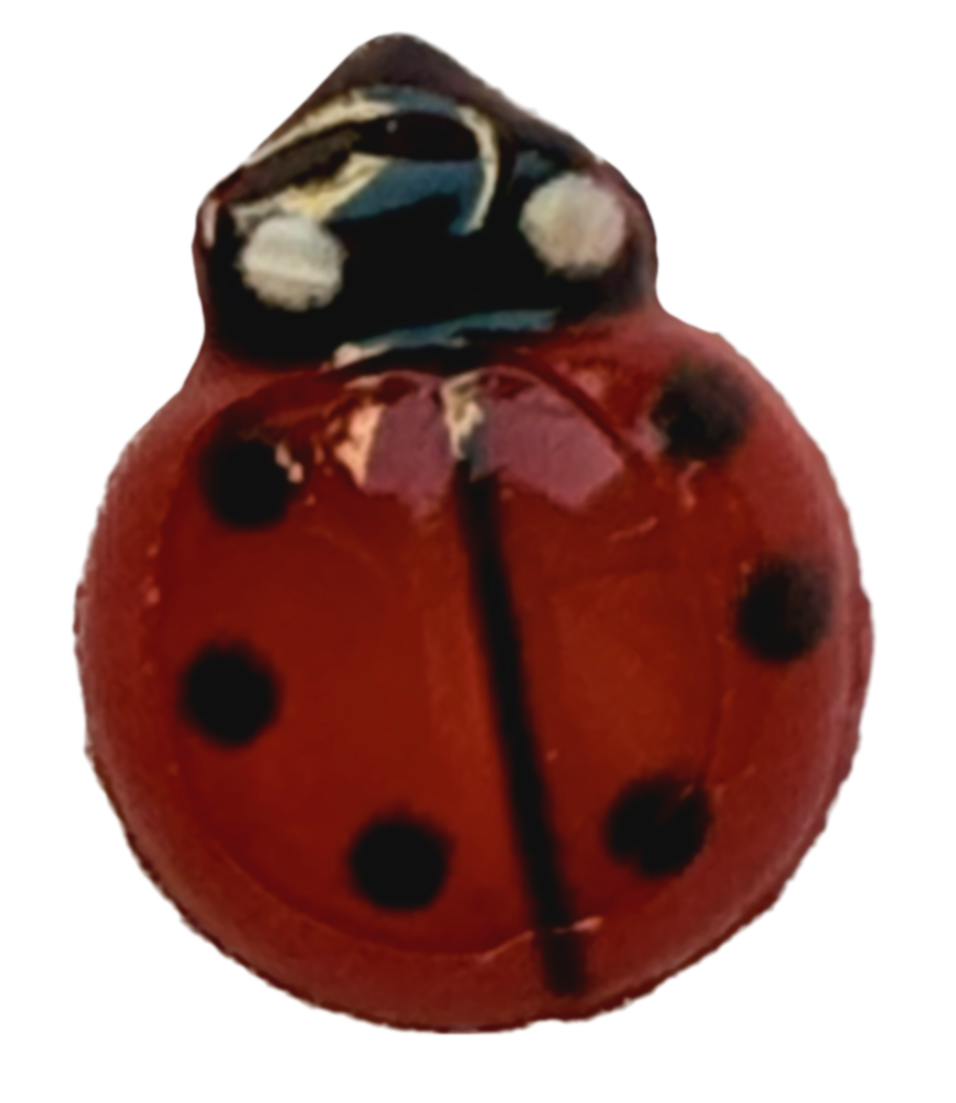 Lady bug frame charm