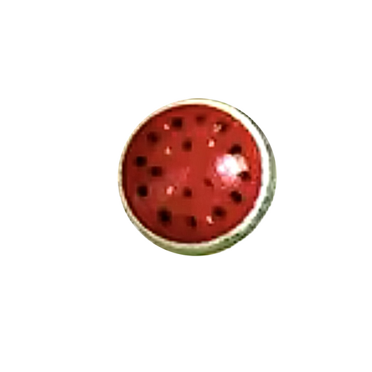Watermelon frame charm