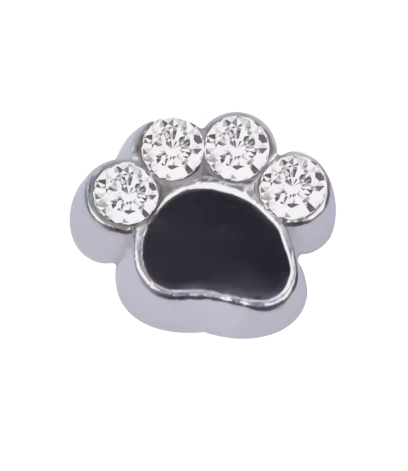 Cat paw Frame Charm