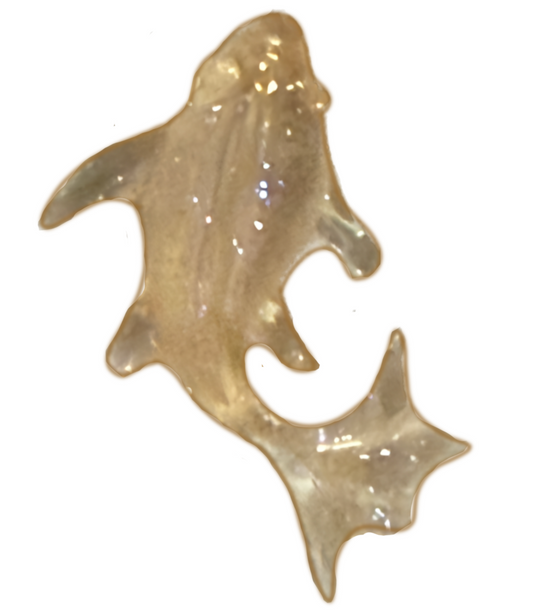 Yellow clear fish frame charm