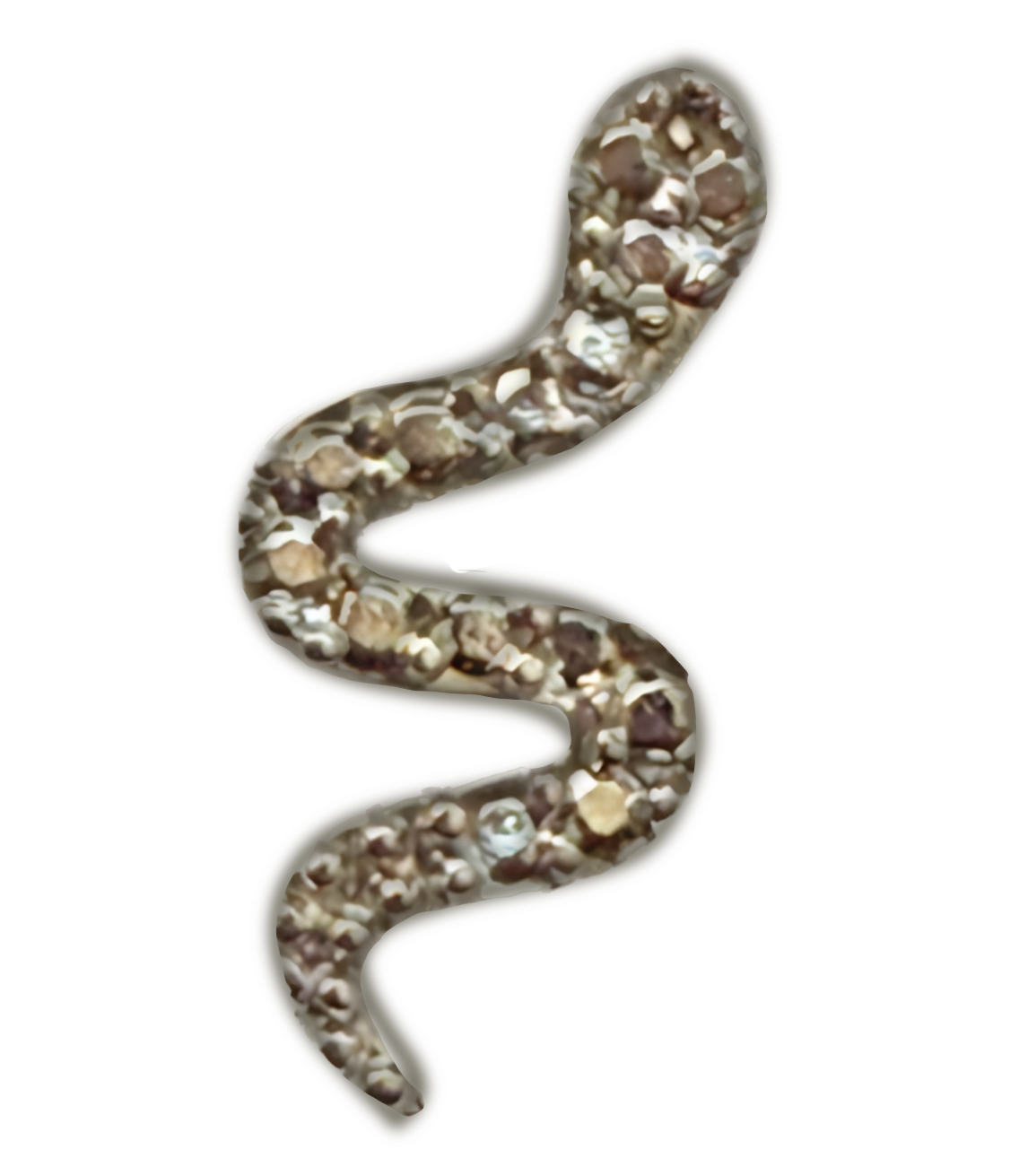 Snake frame charm
