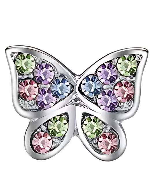 Colorful butterfly frame Charm
