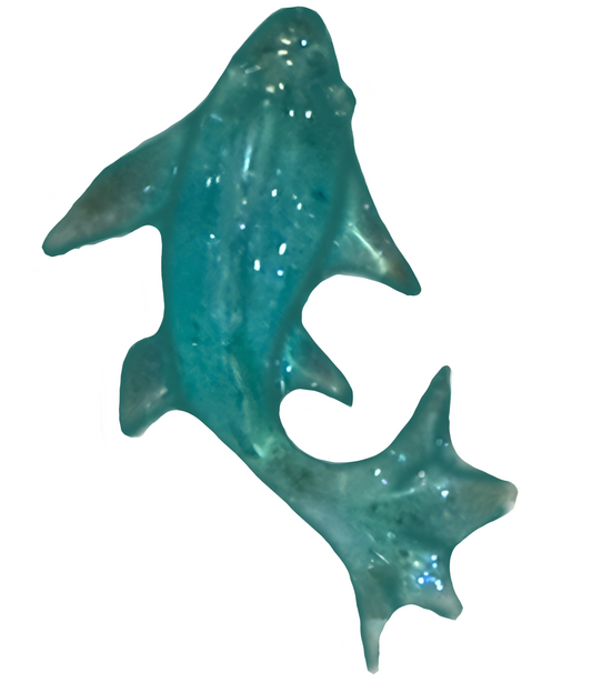 Blue Fish Frame Charm