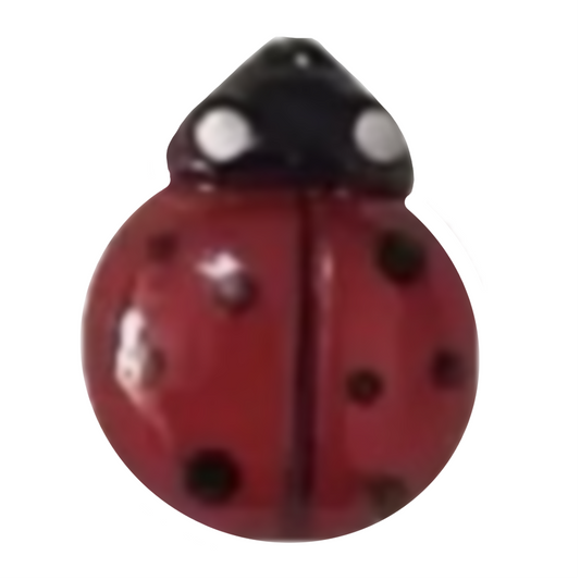 Lady bug frame charm