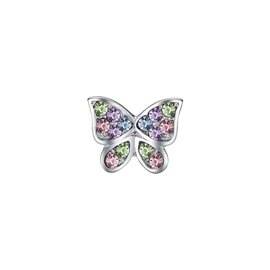 Colorful butterfly frame Charm
