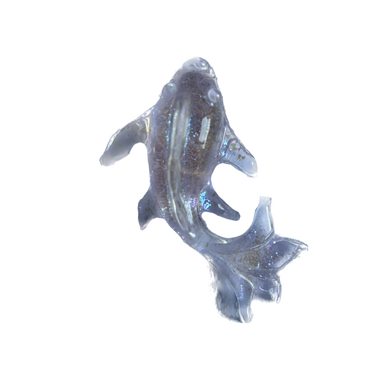 Clear fish frame charm