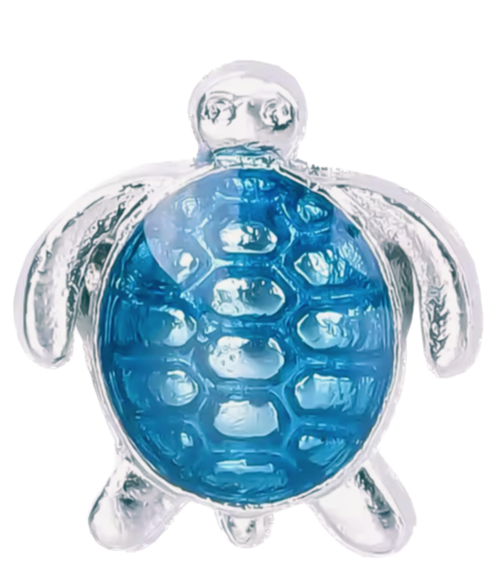 Turtle frame charm