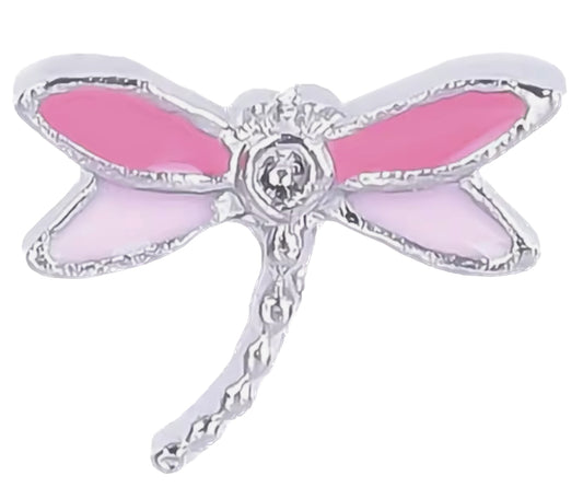 Dragonfly inner charm