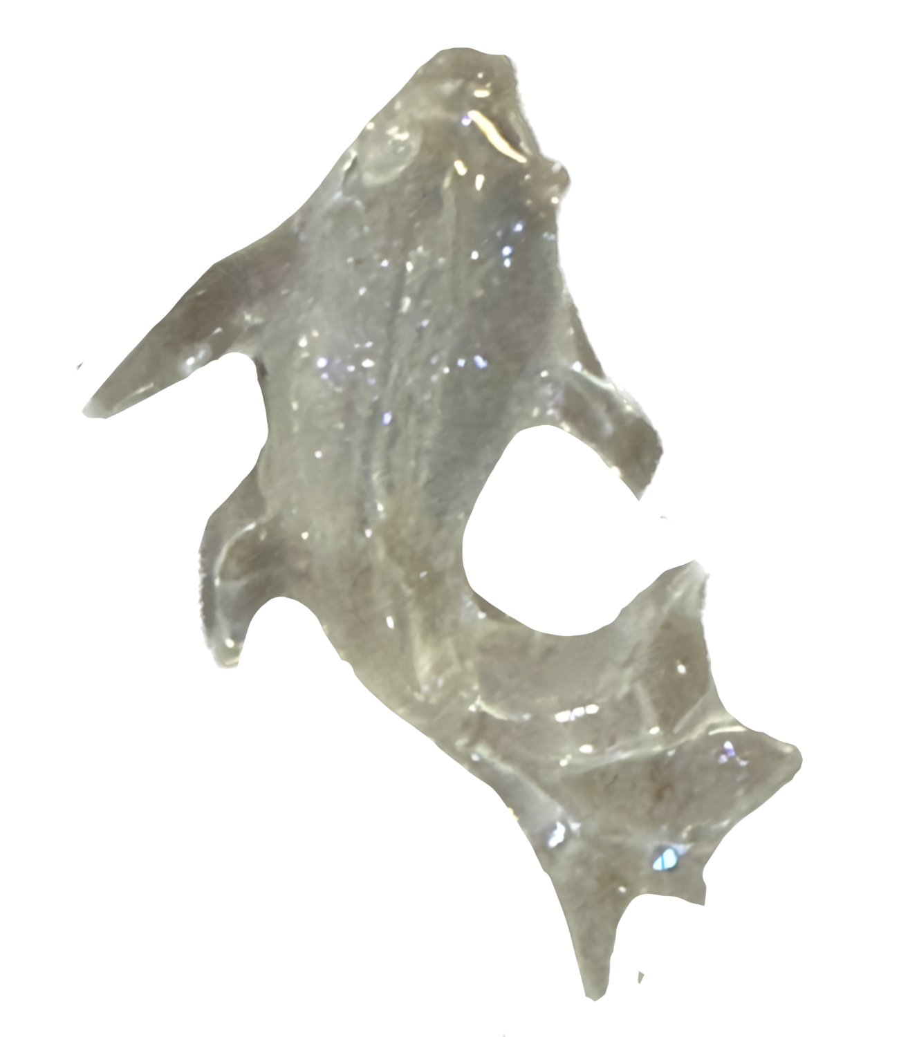 Clear fish frame charm