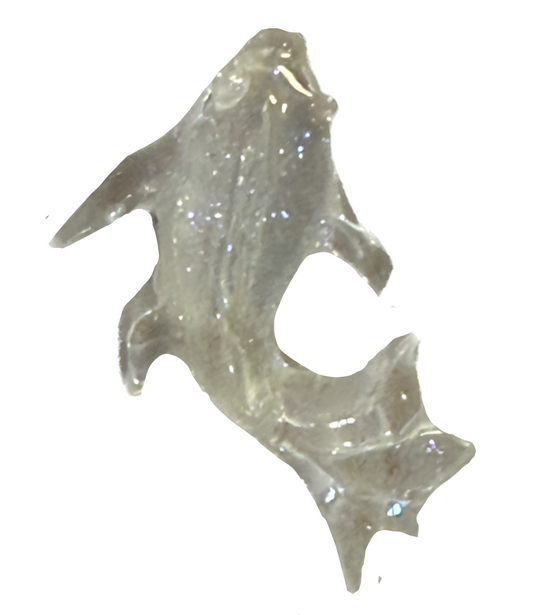 Clear fish frame charm