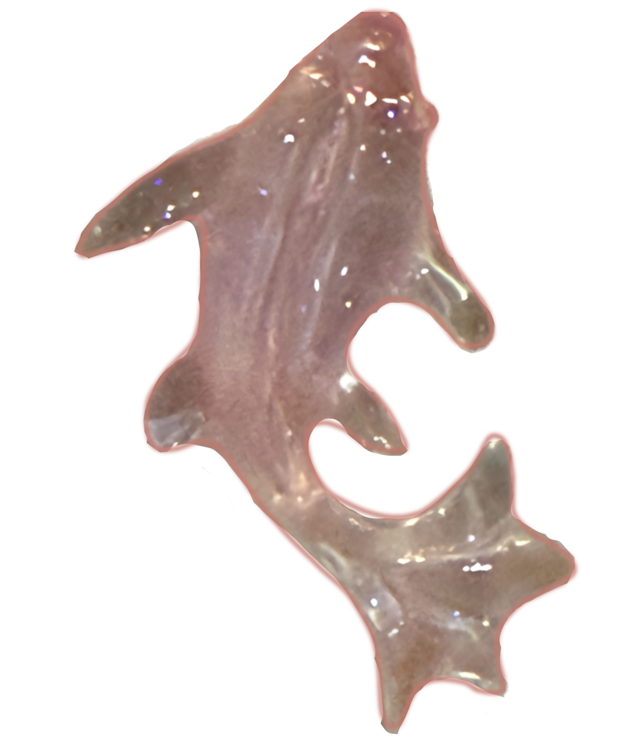 Pink clear fish frame charm