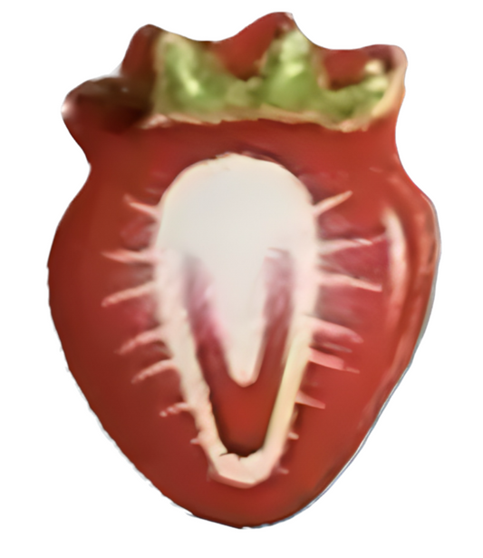 Strawberry frame charm