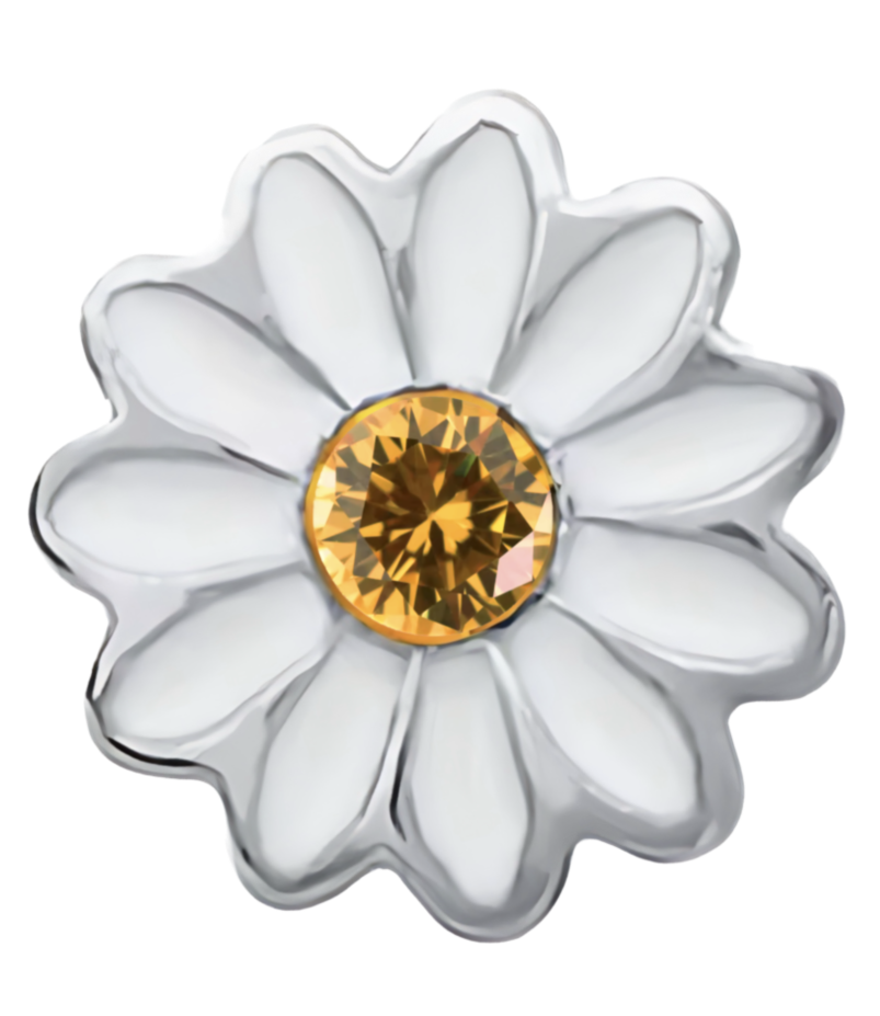 Daisy Flower Frame Charm