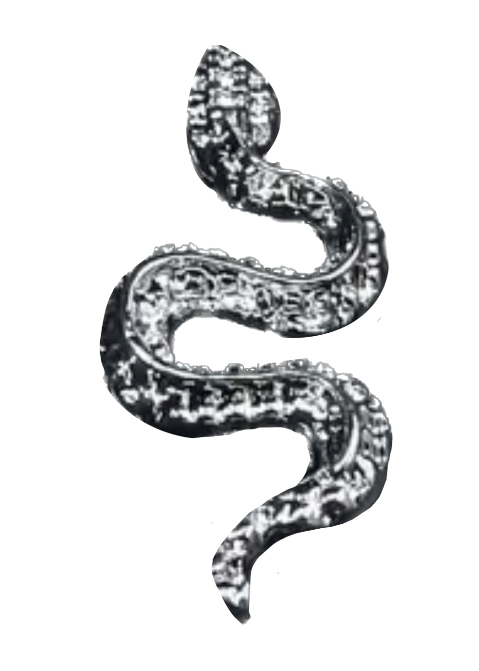 Snake frame charm
