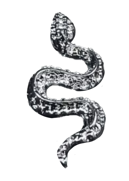 Snake frame charm